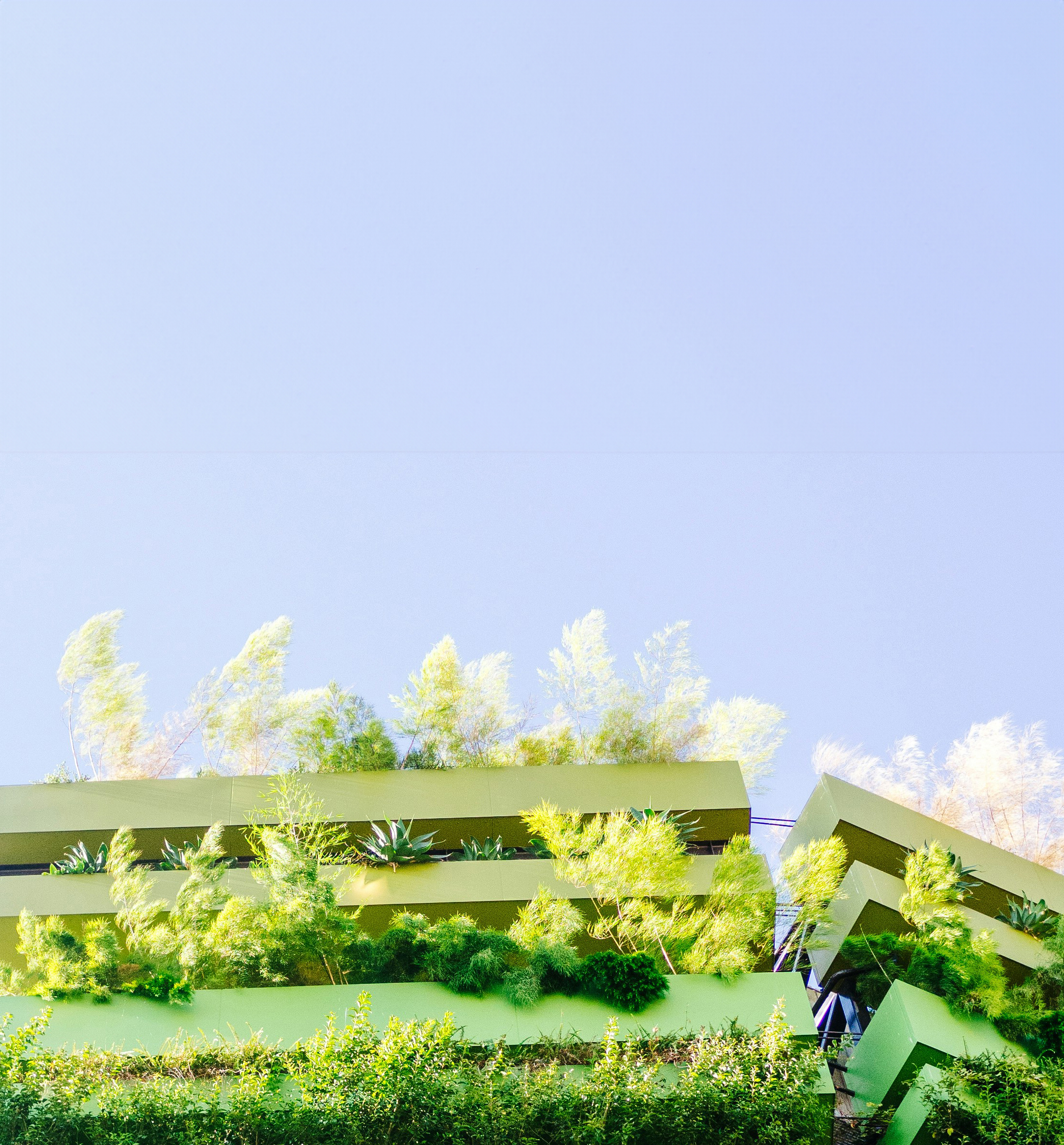 Sky scraper covered in plants