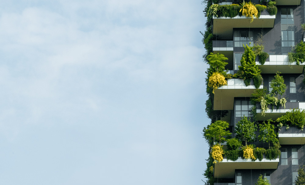 Sky scraper covered in plants